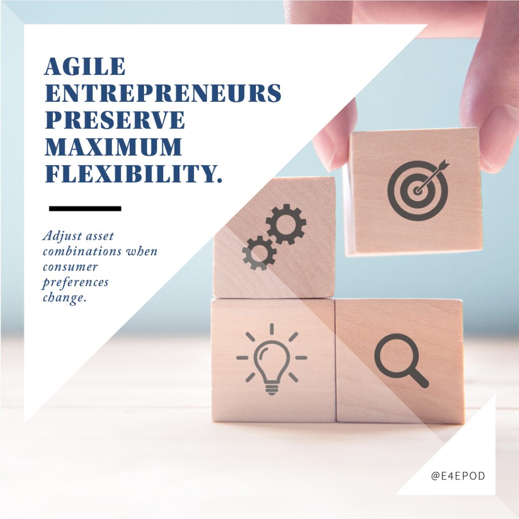 Agile Entrepreneurs Preserve Maximum Flexibility